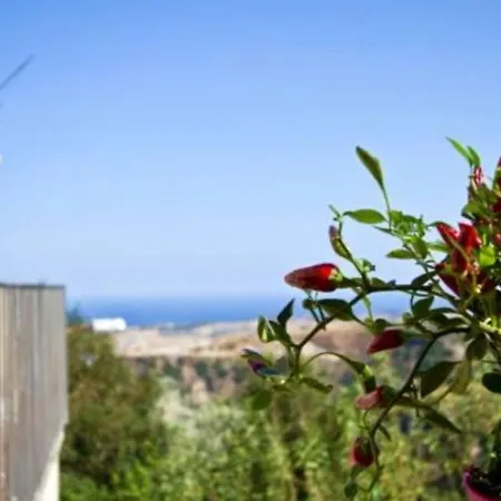 شقة With Sea View In 35 M² Shared Pool *